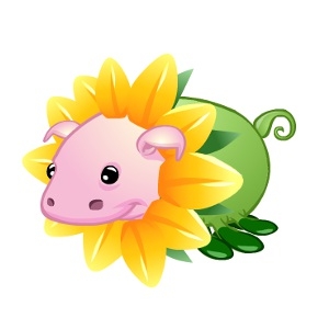 Sunflower Sea Pig